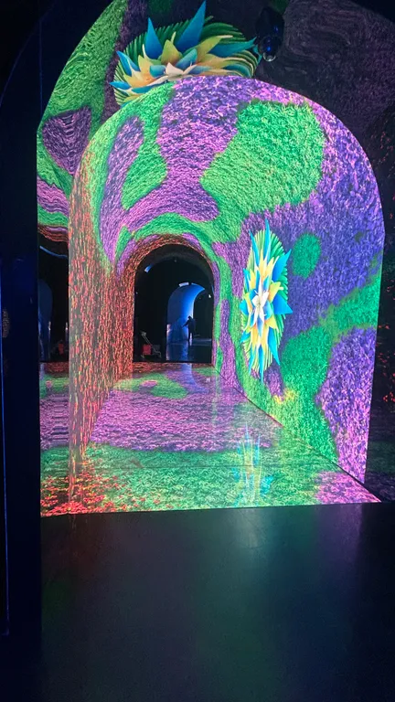 Квартира у парка Галицкого