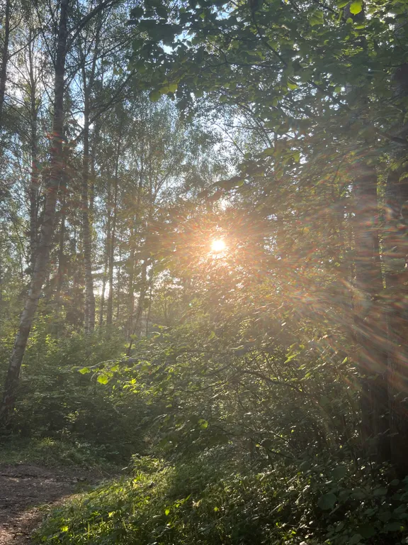 Загородный уютный дом для семейного отдыха