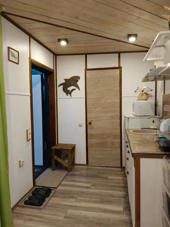 Чудо-дача, дом Акула на берегу пруда