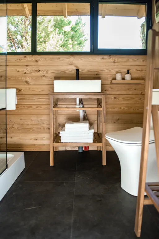 Шале посреди молодого сосново-березового леса