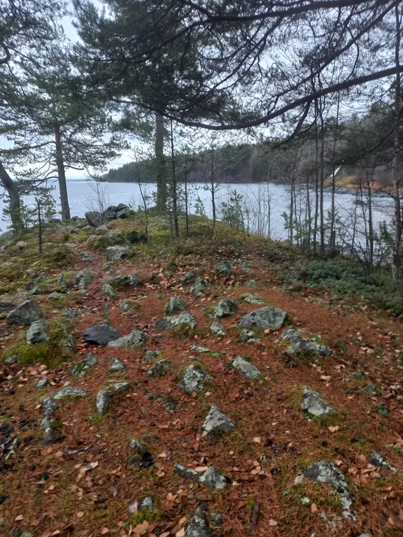 Коттедж Дом в окружении леса и скал — Мережнаволок