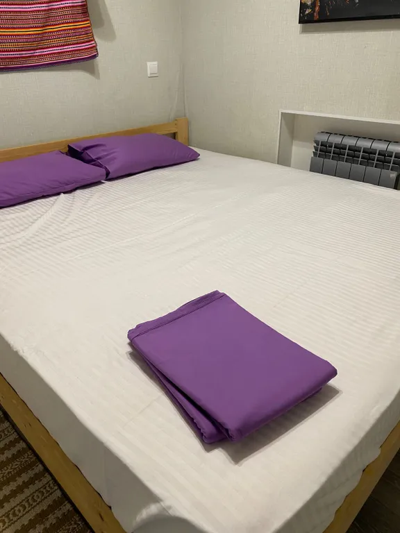 Квартира Квартира Апартамент двухкомнатный в центре Пушкина — Пушкин