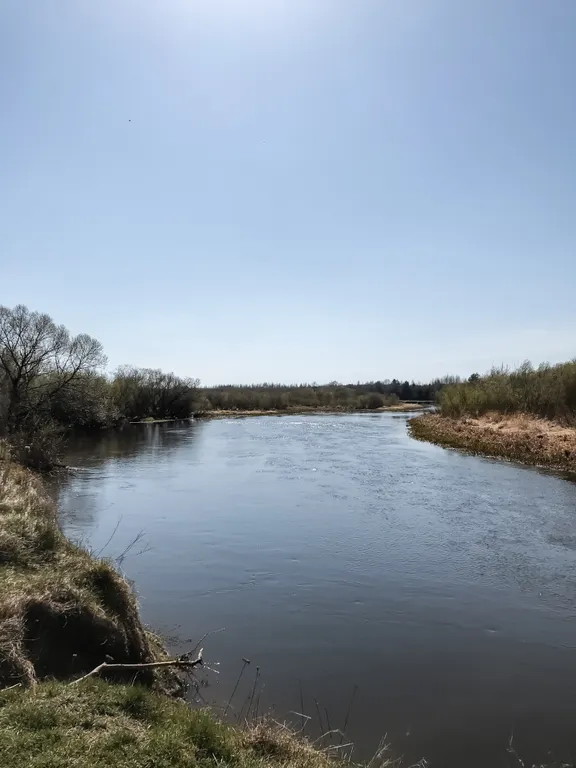 Хутор в лесу Розовый шмель
