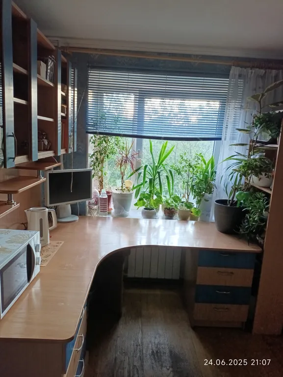 Комната в центре Петергофа