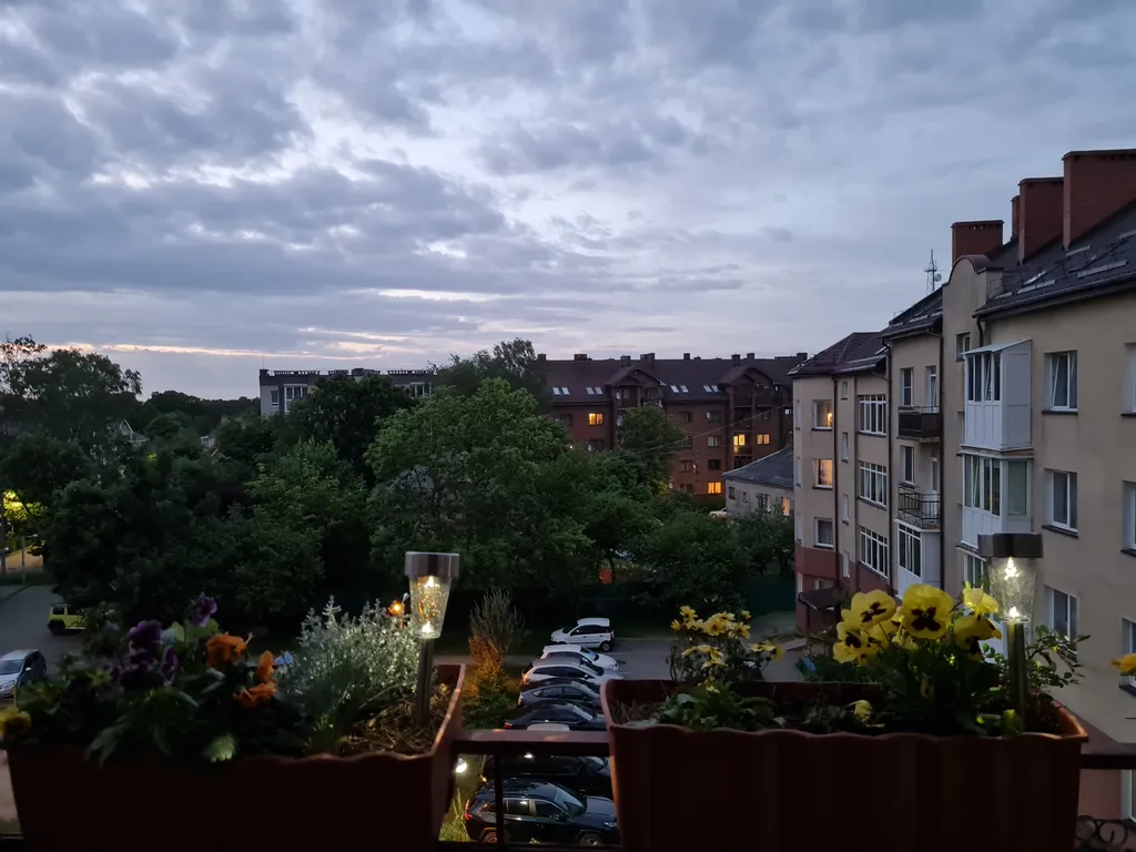 Уютная квартира у моря с сосновым бором