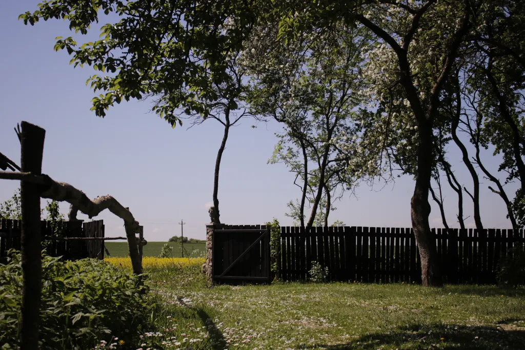 Агроусадьба в хуторской тиши с камином, сеновалом и сном на пчелах