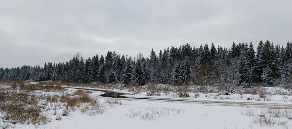 Экодом «Боброво»