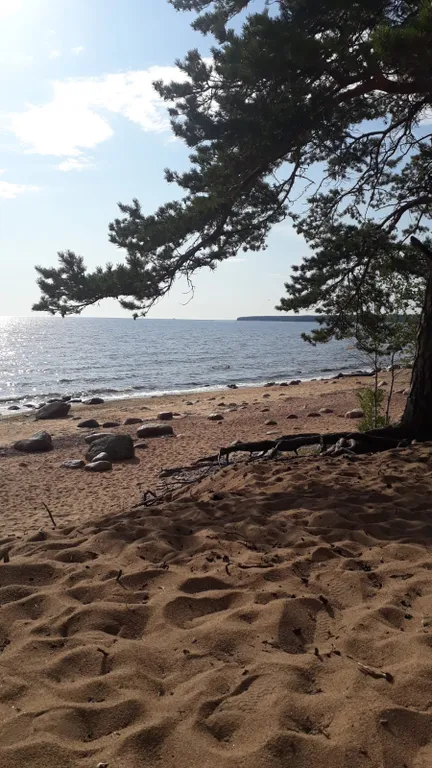 Таунхаус с участком