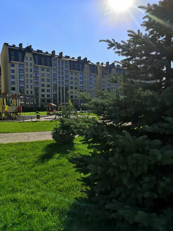 Квартира Уютная квартира с видом на лес — Зеленоградск
