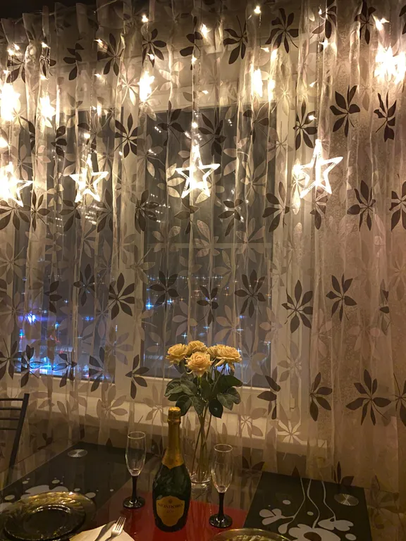 2-комнатная квартира в центре города