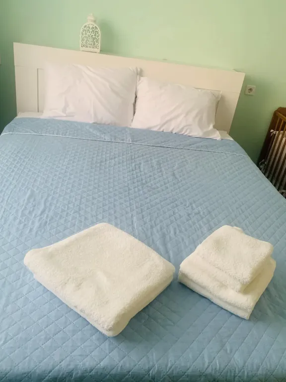 С питомцами, можно!