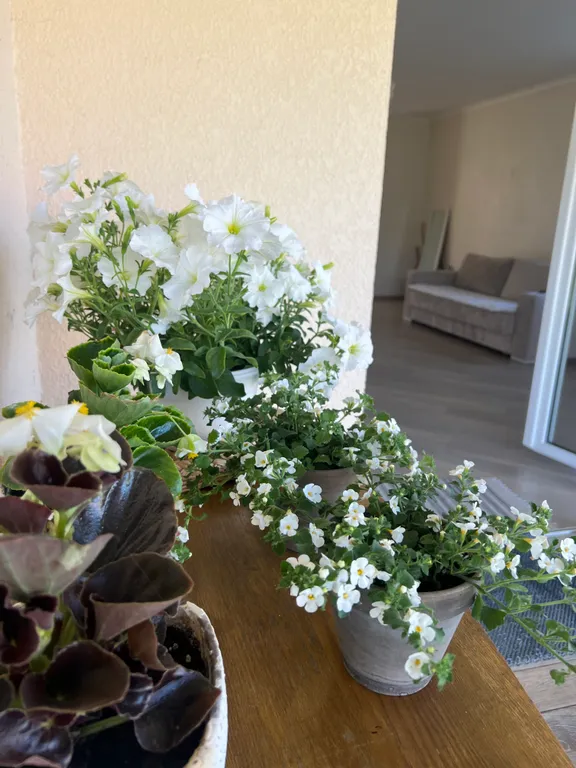 Дом у трех озер