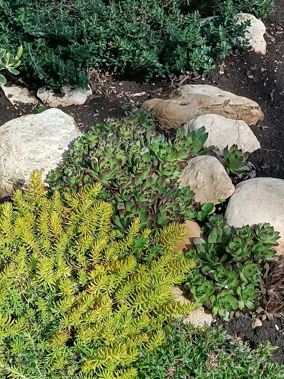 Дом с бассейном