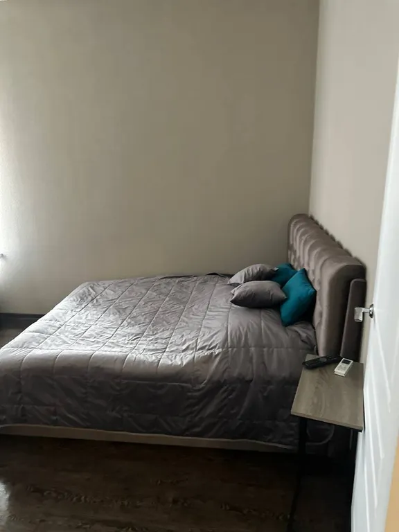 Просторная квартира в центре города