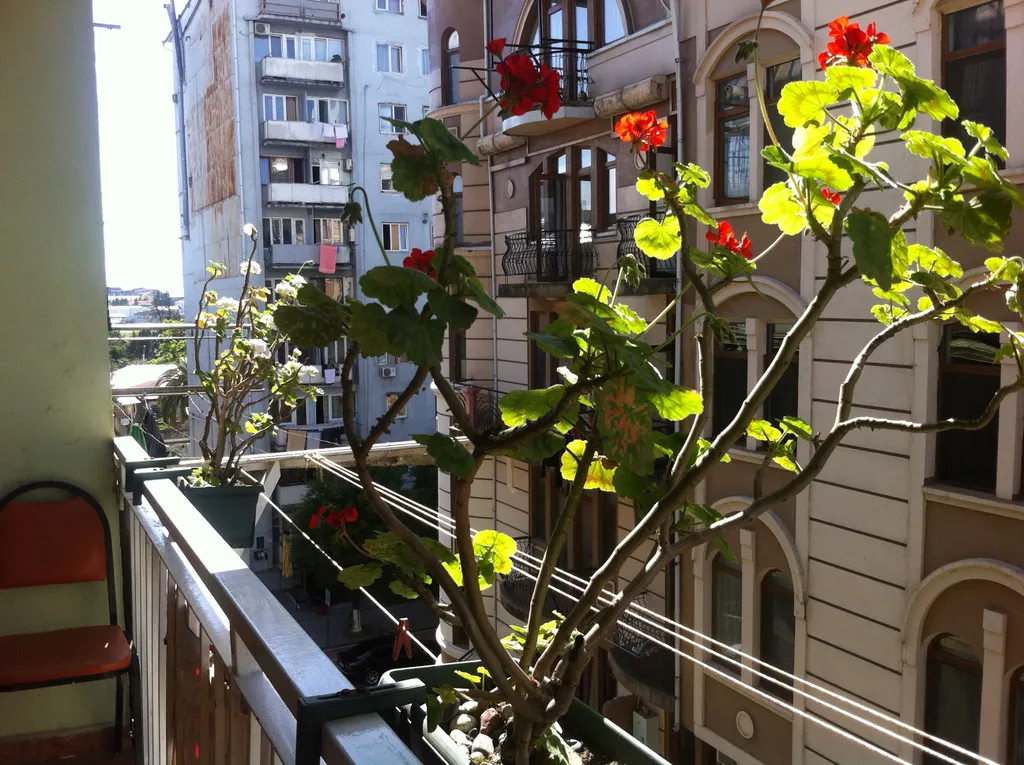 Уютная квартира в центре Старого Батуми (5 этаж).