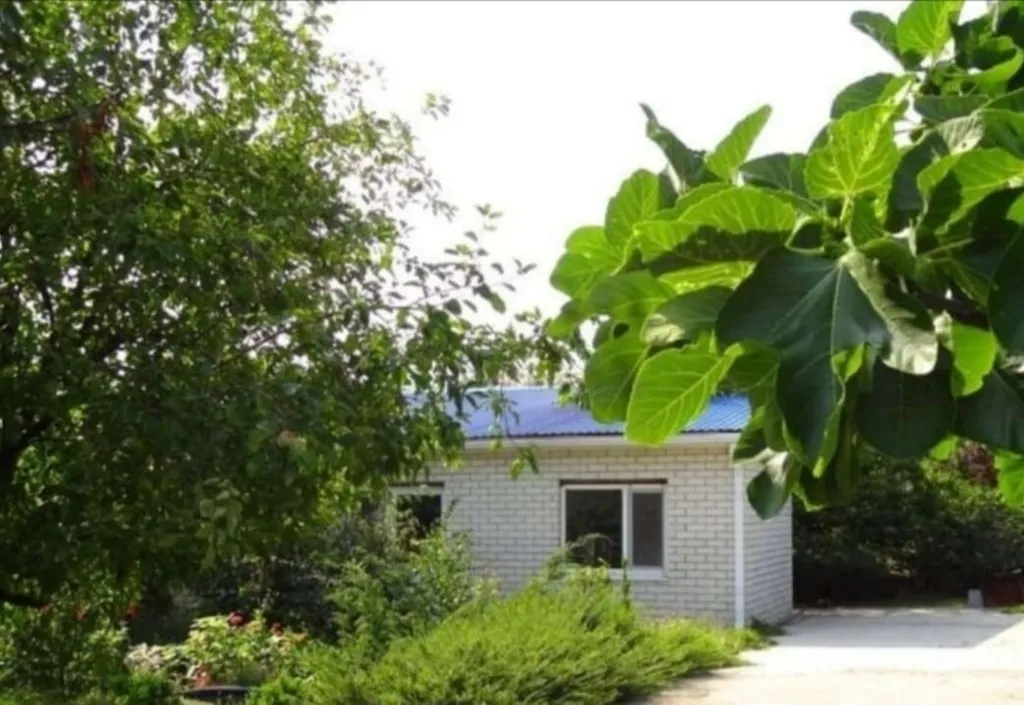 Квартира Уютная комната в тихом районе — аренда посуточно в Геленджик