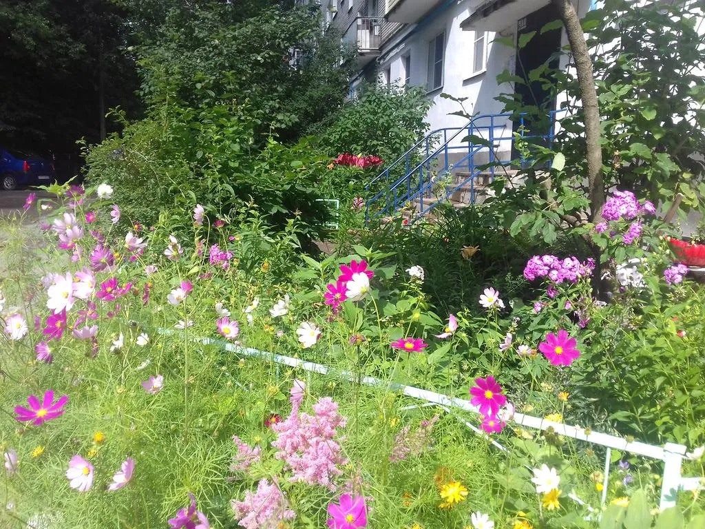 Квартира Очень уютная квартира на новой красивой набережной у Кремля без залога — Великий Новгород