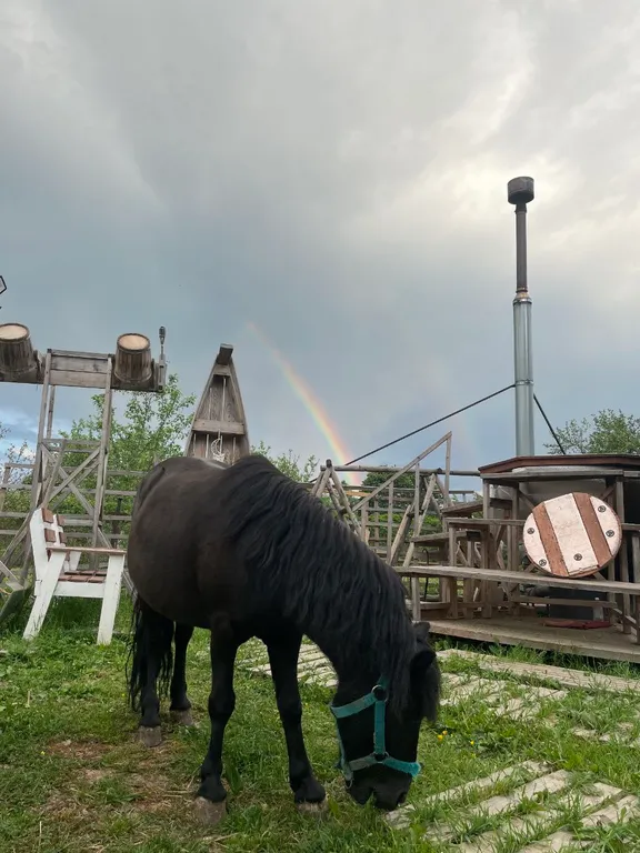 Домик с качелью на семейной мини-ферме фазенда