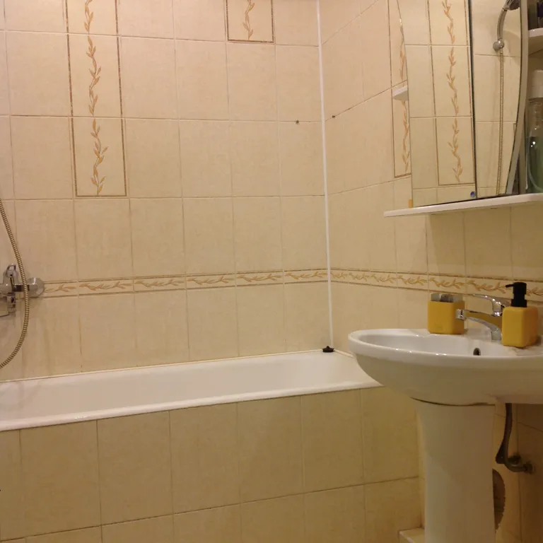 Просторная квартира в тихом центре