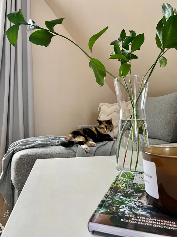 Коттедж Уютный дом рядом с озером — Великий Новгород