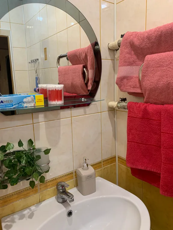 Дом с видом на Ледовый дворец