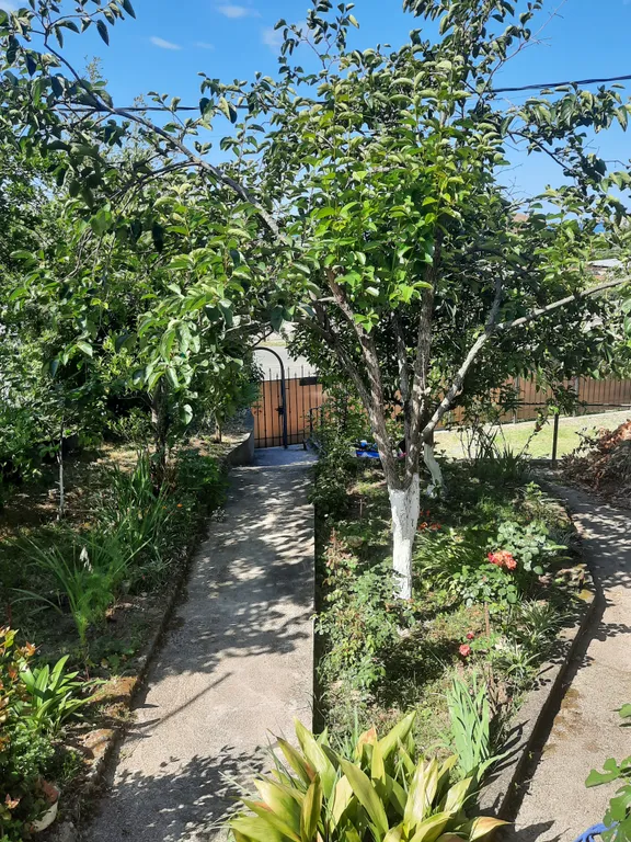 Коттедж Частный дом, уютное тихое место — аренда посуточно в Гагра