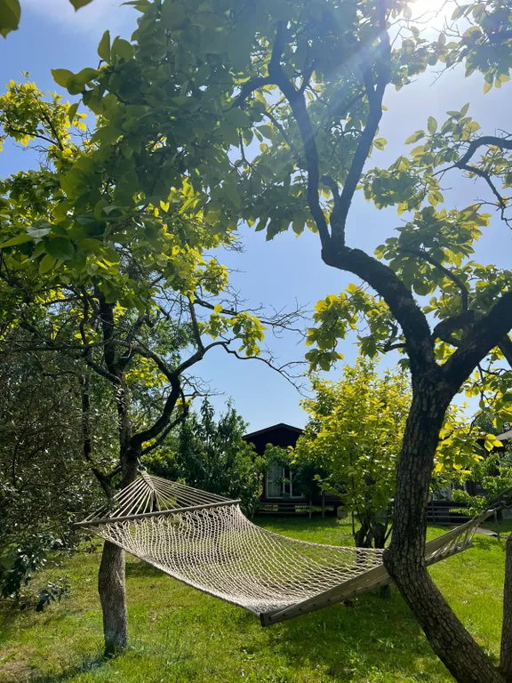 Коттедж Уютный домик с приусадебным участком — Гагра