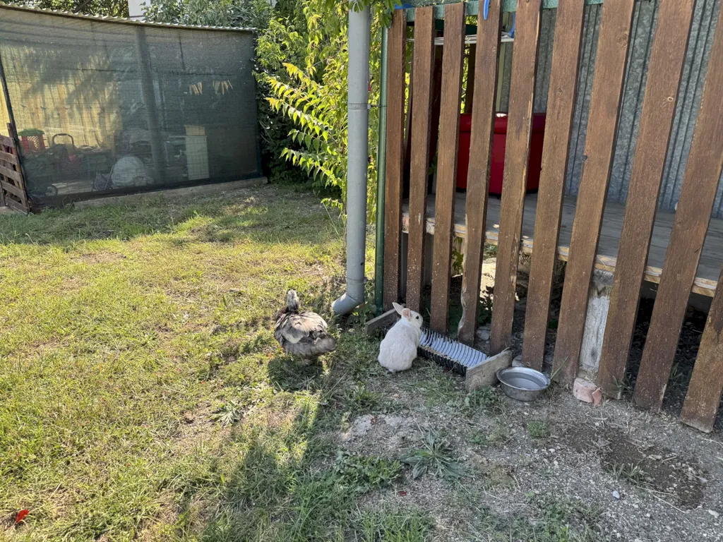 Коттедж Дом в Голубой бухте — Геленджик