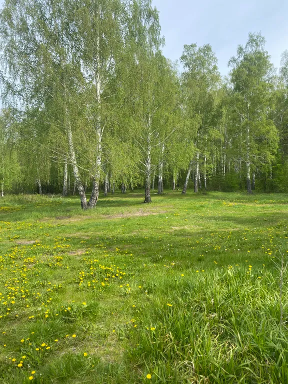 Территория отдыха Усадьба