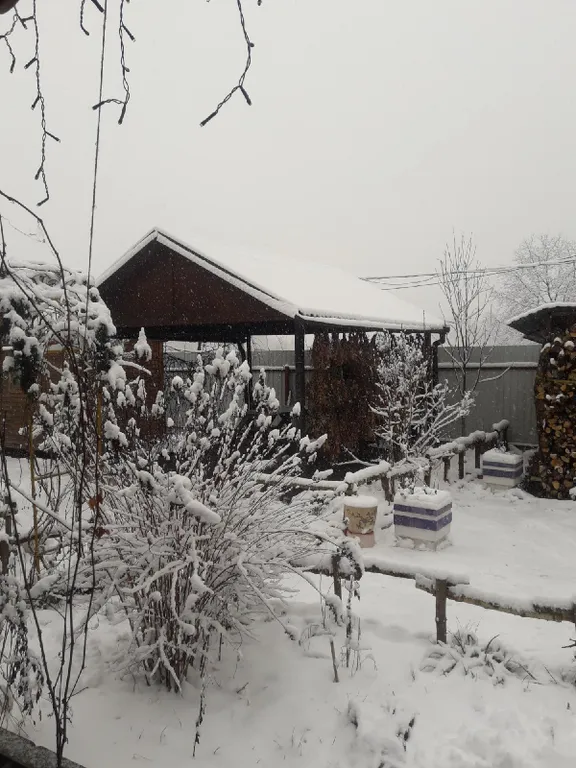 Медвежий угол