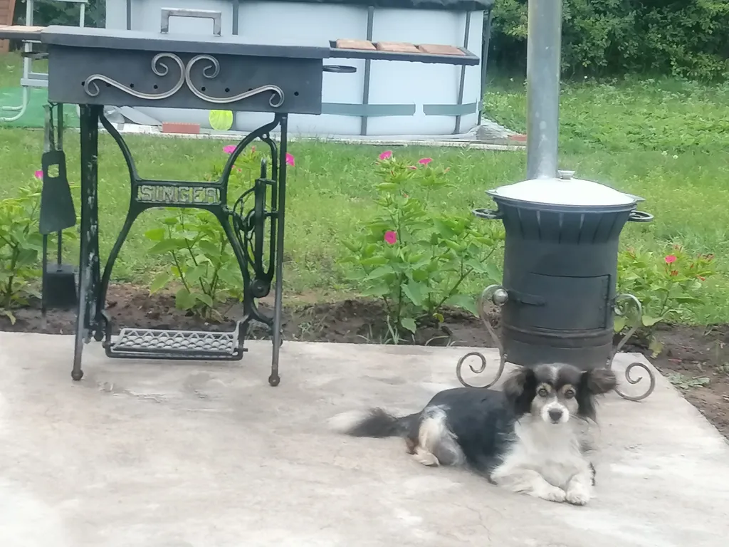 Домик в Бузулукском бору с баней и выходом в лес