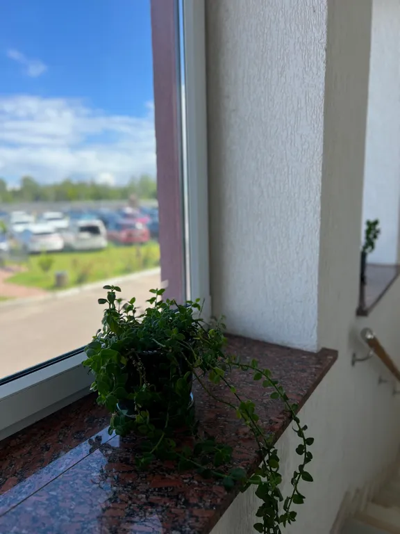 Квартира Трёхместные апартаменты в Avia park in hotel — Исаково