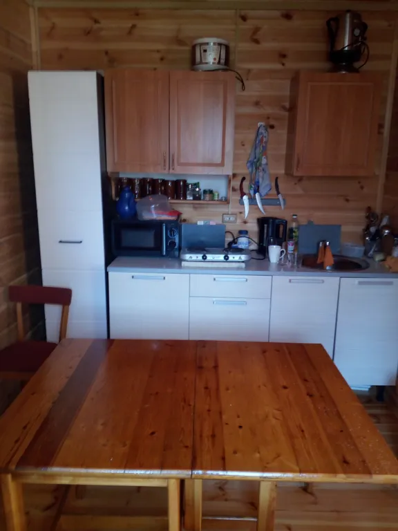 Дом в центре с русской баней