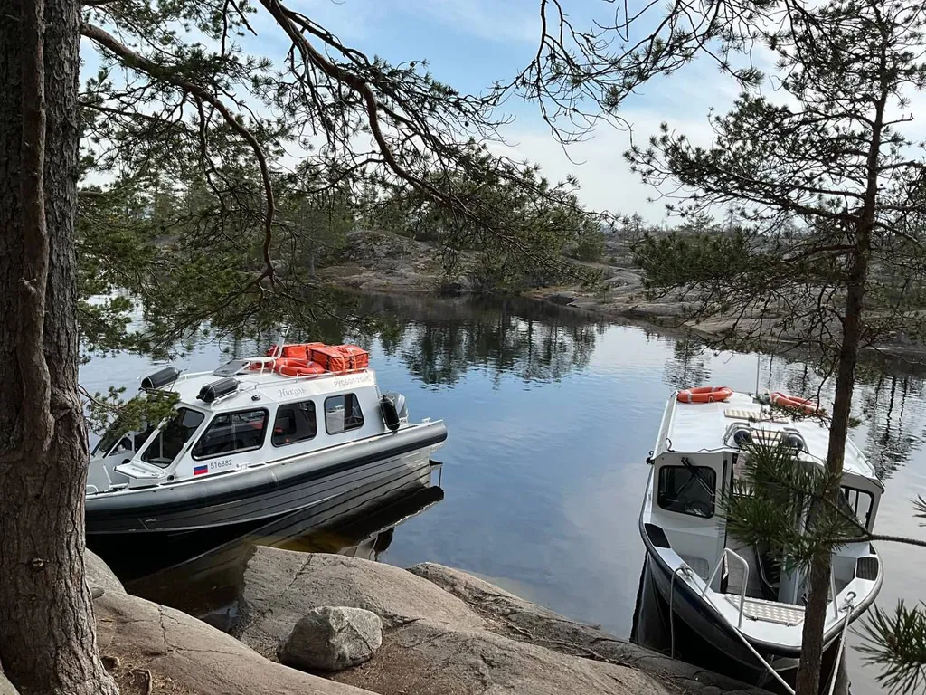 Дом из рубленого бревна с камином
