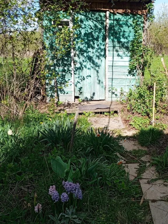 Привал на Светлояре