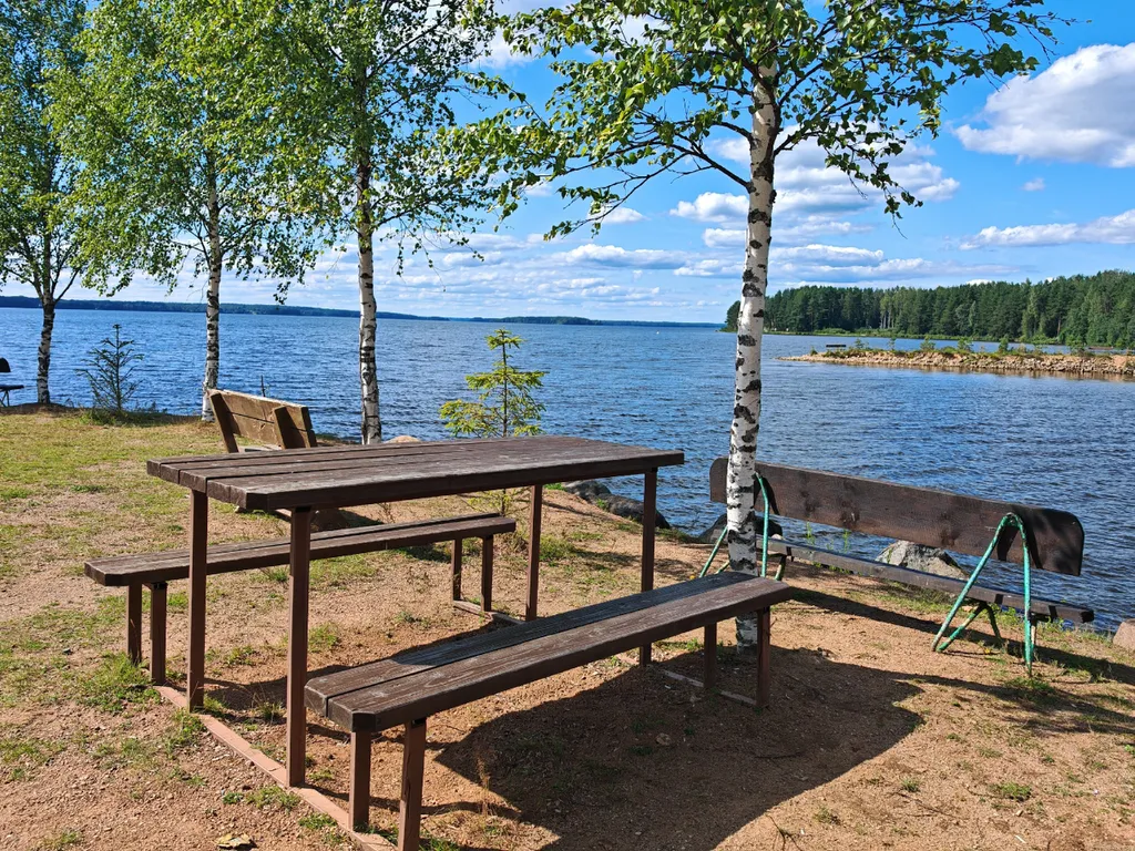 Коттедж Номер на Селигере у озера в сосновом бору — Турбаза Чайка