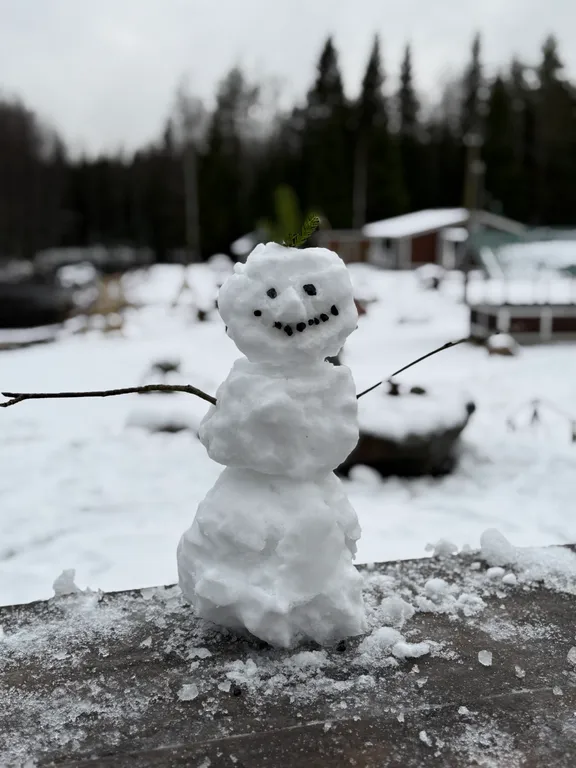 Дом у реки с сауной