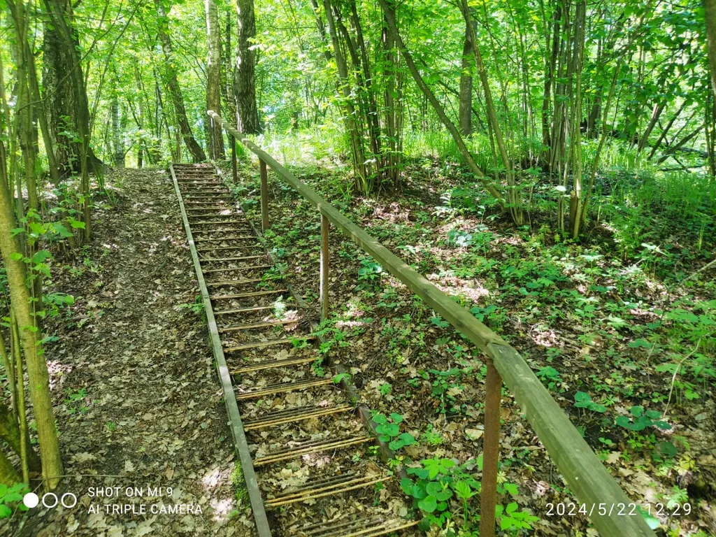 Стильный дом с лесной территорией, недалеко пруд с пляжем