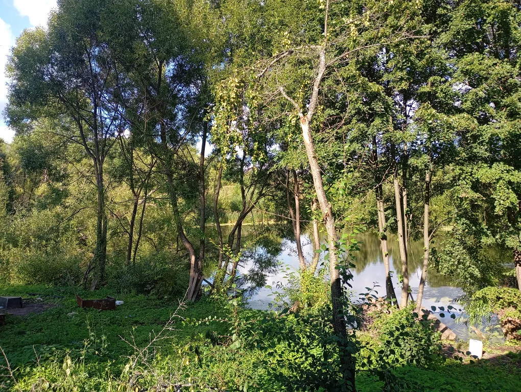 Изба с уютом детства, деревенский дом с баней и русским бытом