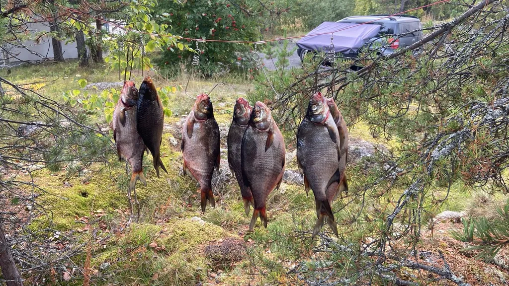 Коттедж Дом в окружении леса и скал — Мережнаволок