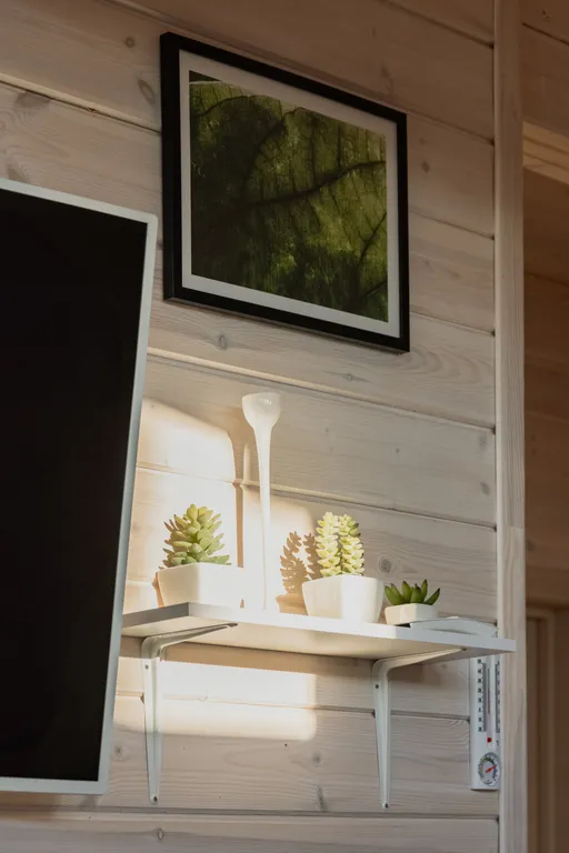 Гостевые дома «Ель»