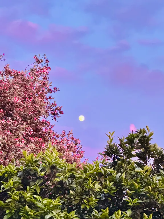 Апартамент с видом на море