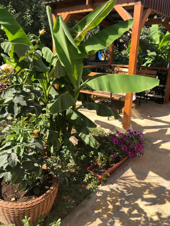 Коттедж-1 на берегу моря