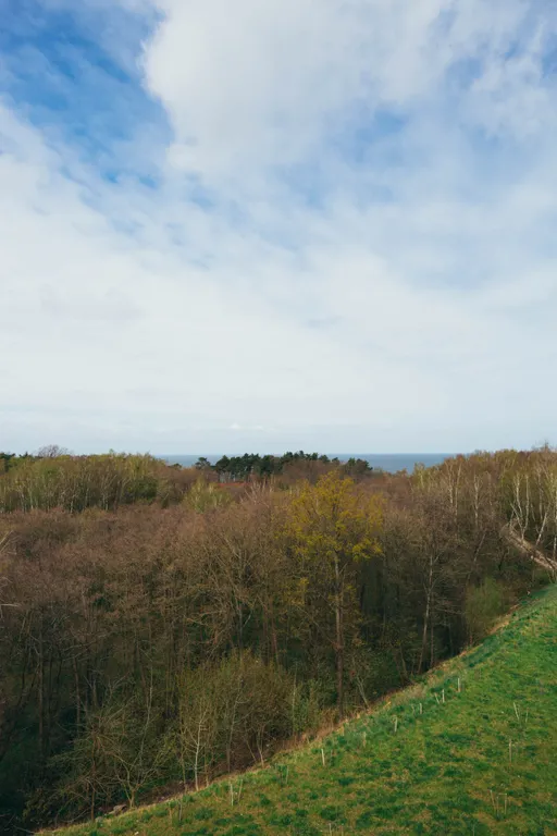 Квартира Апартаменты Baltic Sea с видом на море — Светлогорск