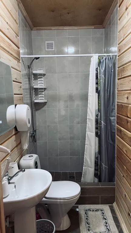 Дом в центре