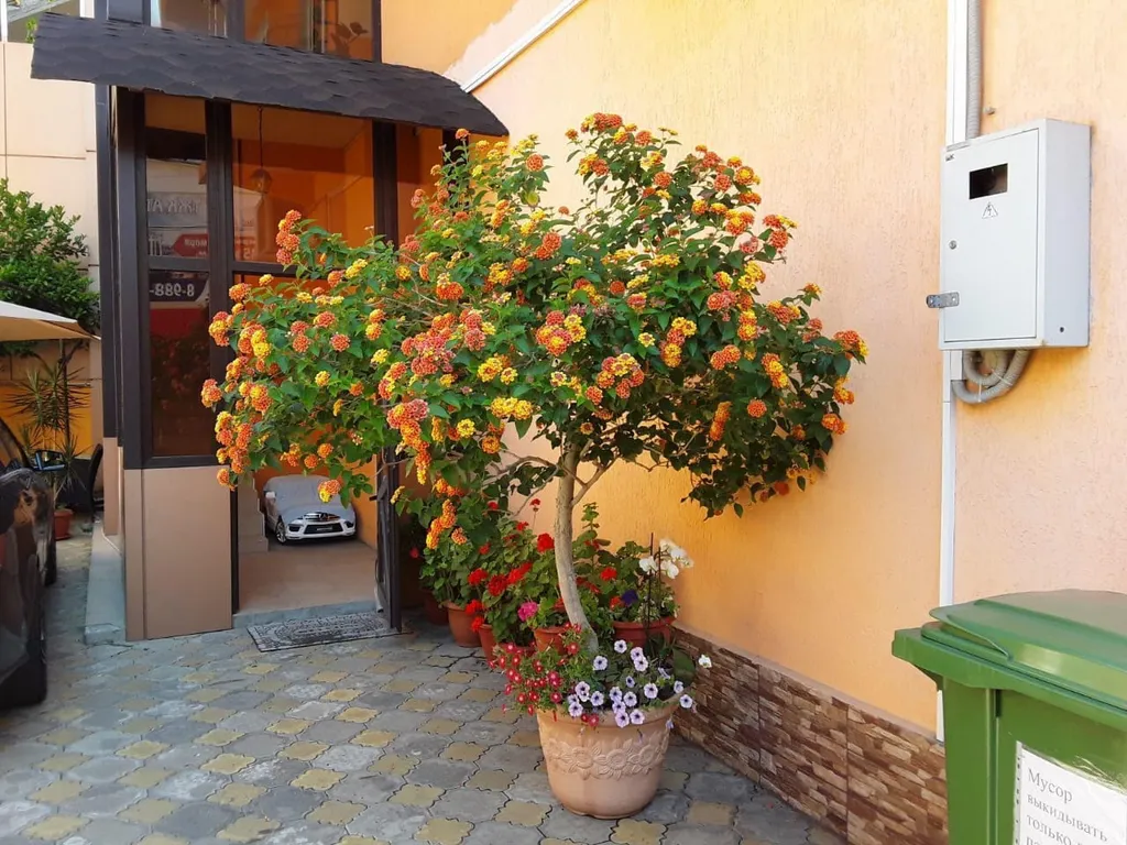 Двух и трёхместные  номера