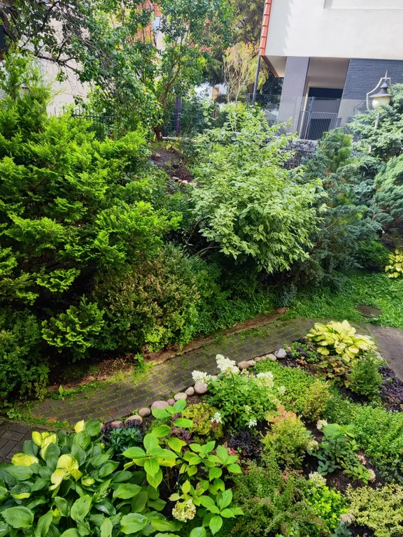 Квартира Отличная квартира у Дома Сказочника — Светлогорск