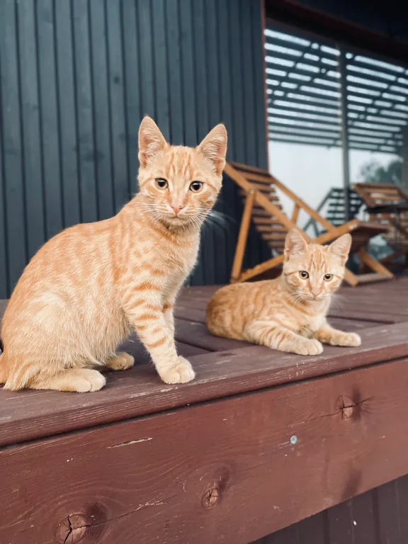 Квартира Апартаменты с видом на море — Севастополь