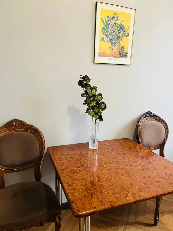 Уютная квартира в курортной зоне Железноводска