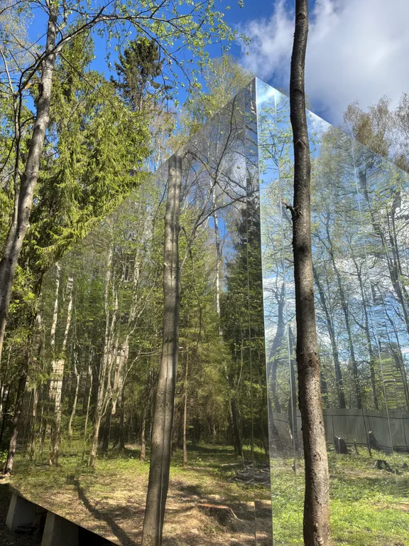 Коттедж Уникальный зеркальный дом — Александров